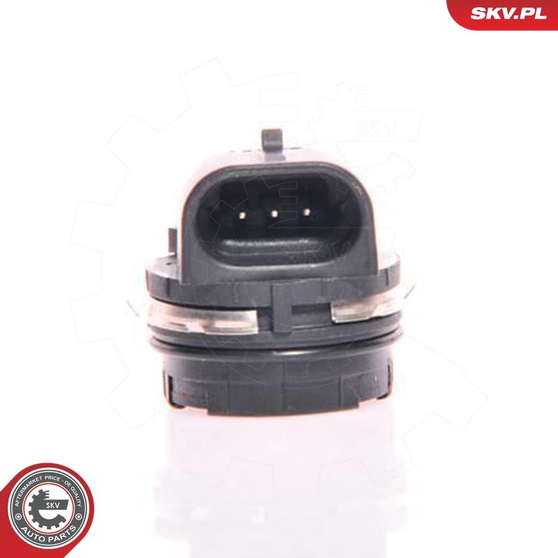 Andur, drosselklapiasend, ESEN SKV 17SKV013