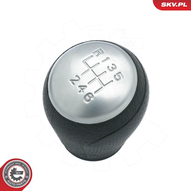 Käigukanginupp, ESEN SKV...