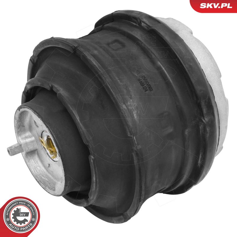 Paigutus, Mootor, ESEN SKV 75SKV002