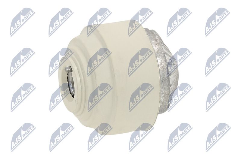 Paigutus, Mootor, NTY ZPS-ME-102