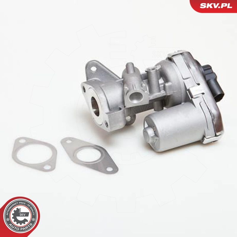 EGR-klapp, ESEN SKV 14SKV038