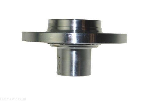 AUTOMEGA 110122910 Wheel Hub