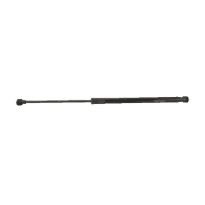 Gaasivedru, pagasi-, veoruum, STABILUS 738545