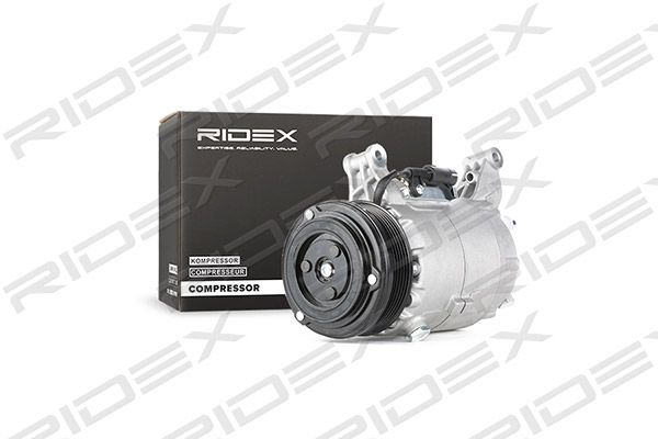 8098092_238.JPG