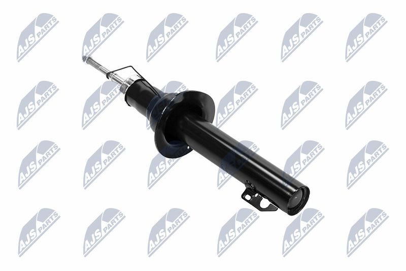 Amort, NTY A-CH-065