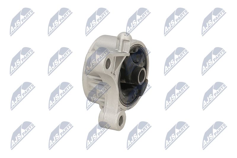 Paigutus, Mootor, NTY ZPS-PL-093