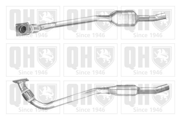 QH_QCAT80506H.JPG