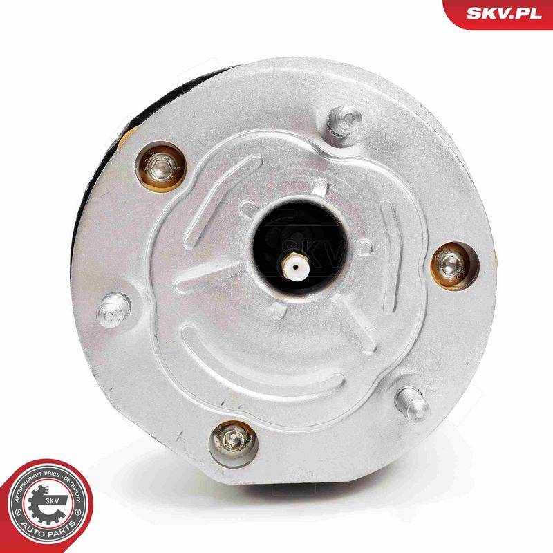 ESEN SKV 58SKV725 Air Suspension Strut