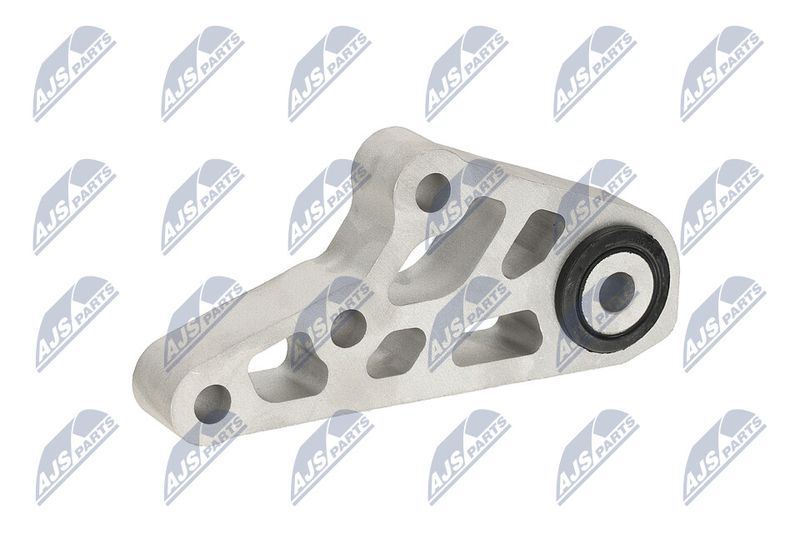 Paigutus, Mootor, NTY ZPS-CH-119