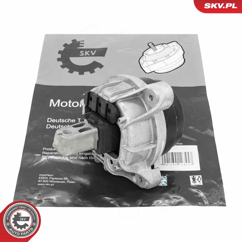 Paigutus, Mootor, ESEN SKV 75SKV249