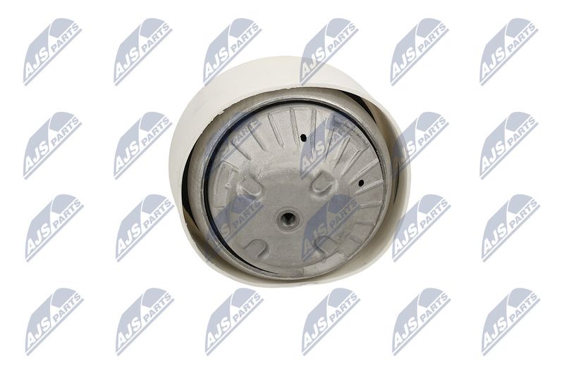 Paigutus, Mootor, NTY ZPS-ME-109