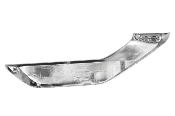 BLIC 5703-05-3756925P Trim/Protection Strip, bumper
