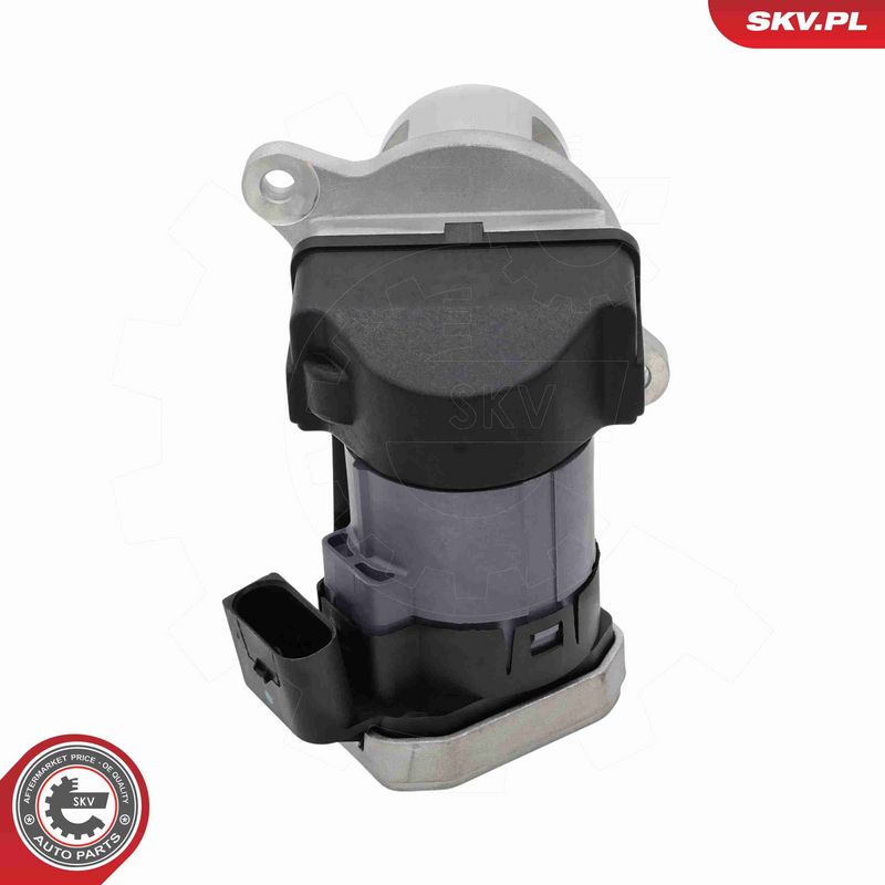 ESEN SKV 14SKV306 EGR Valve