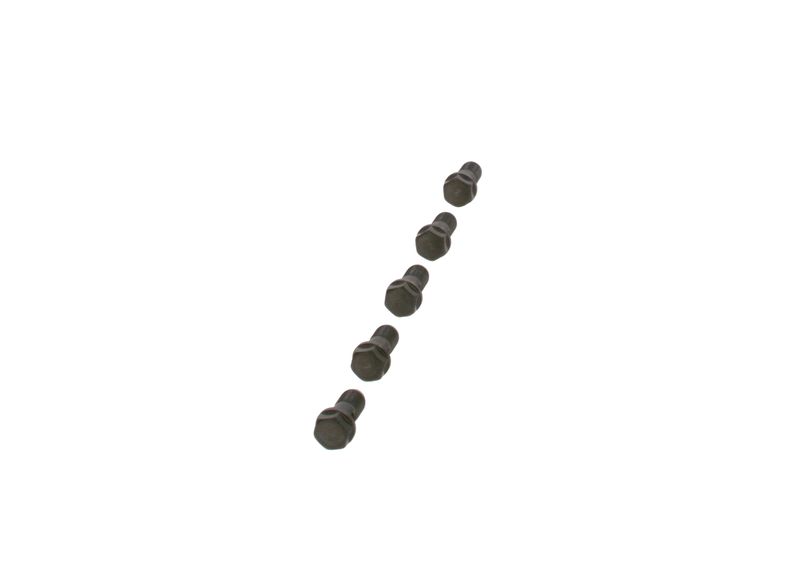 Surub F 019 D01 024 BOSCH