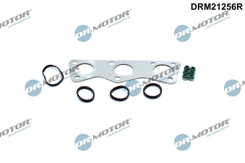 Dr.Motor Automotive Tarpiklių komplektas, cilindro galva
