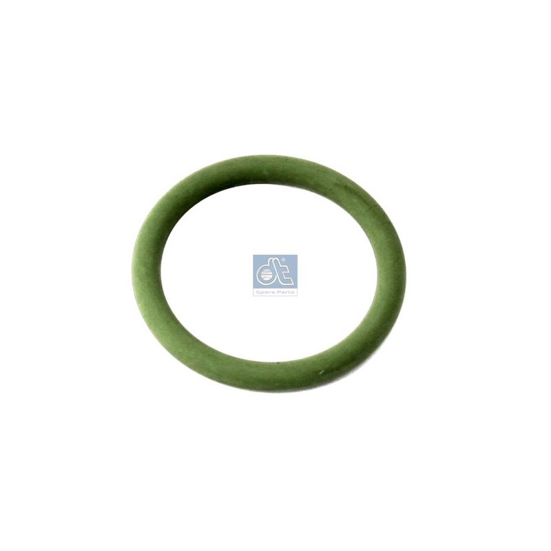inel de etansare DT Spare Parts 1.10010