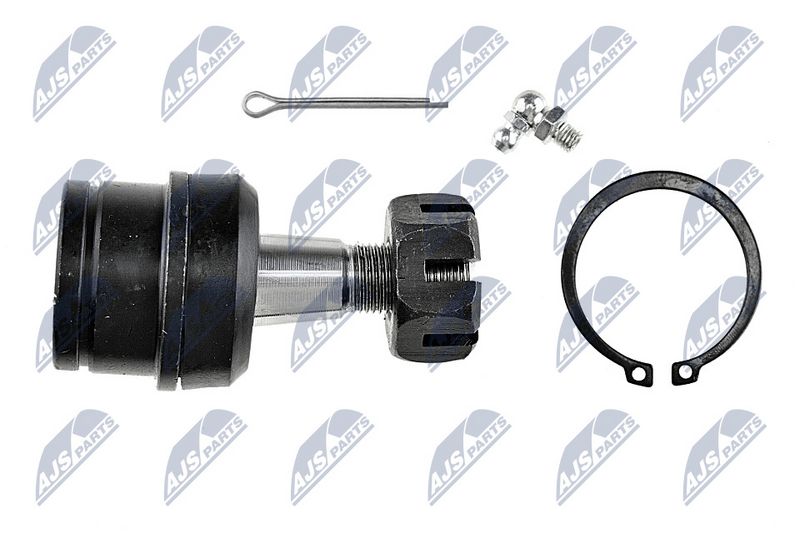 Kande-, juhtliigend, NTY ZSD-CH-003A