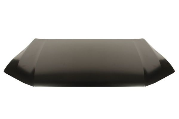 Product Motora pārsegs BLIC 6803-00-0041280AP Image