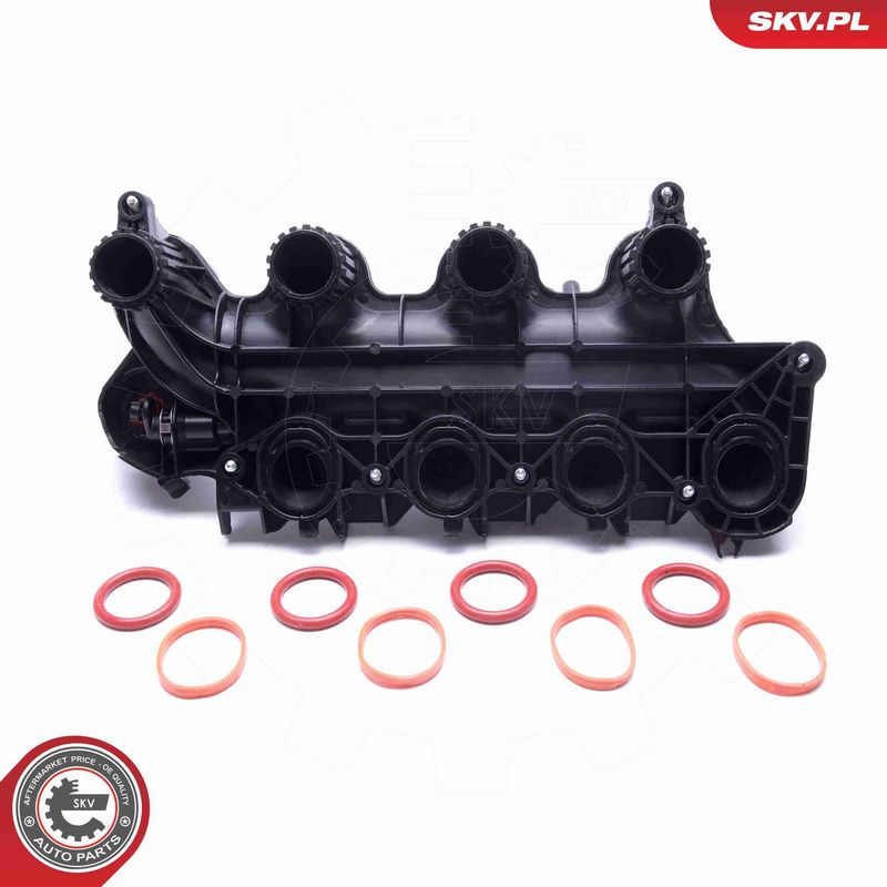 ESEN SKV 49SKV065 Intake Manifold Module