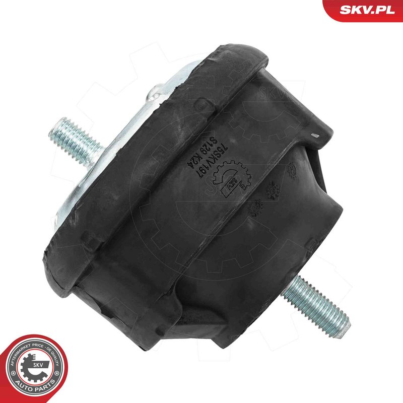 ESEN SKV 75SKV197 Mounting, engine