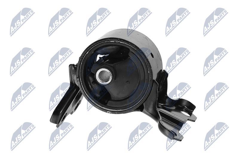 Paigutus, Mootor, NTY ZPS-CH-179