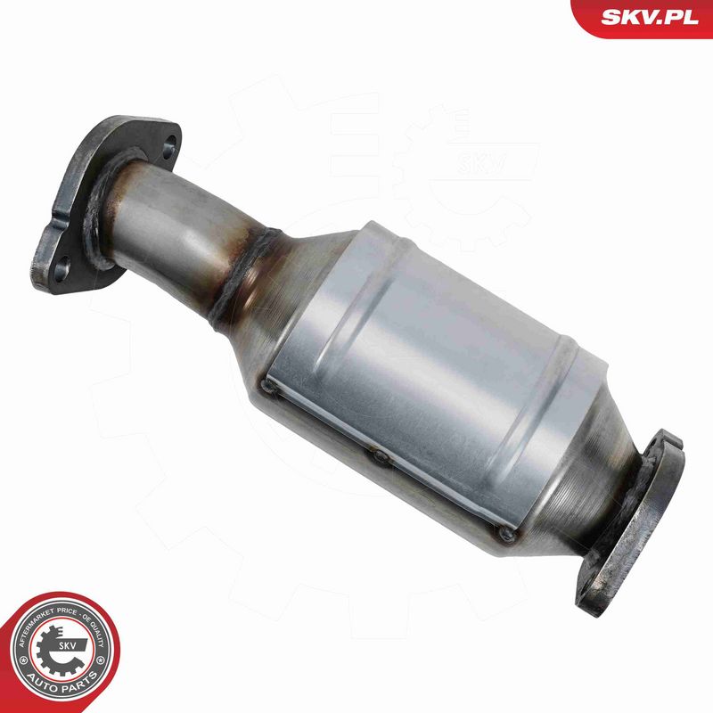 ESEN SKV 62SKV170 Katalizatorius