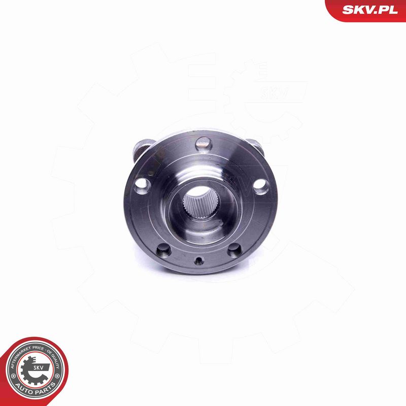 ESEN SKV 29SKV263 Wheel Bearing Kit