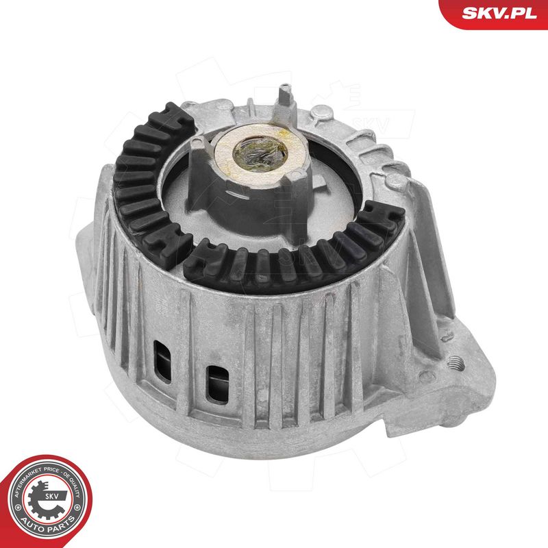 ESEN SKV 75SKV417 Variklio pagalvė