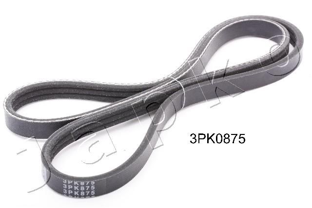 3PK875_1.JPG