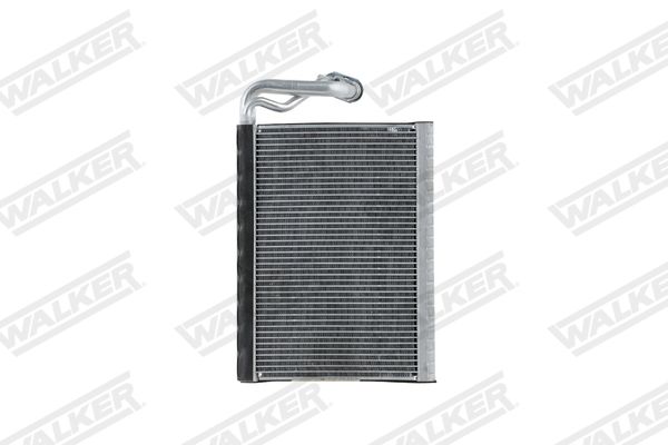 wev00144_5350769.JPG