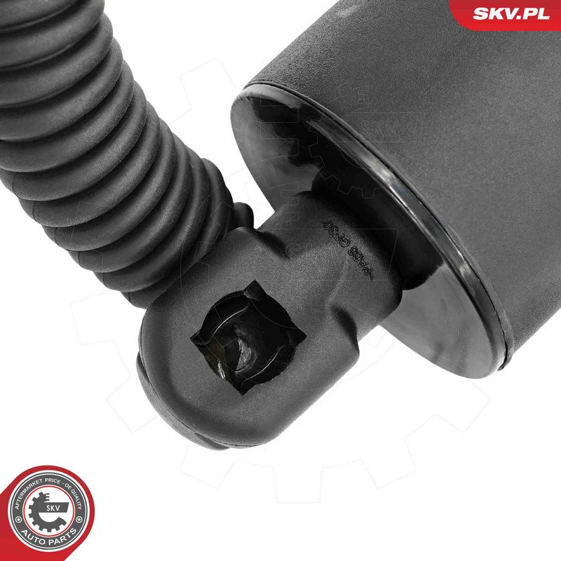 ESEN SKV 52SKV289 Electric Motor, tailgate