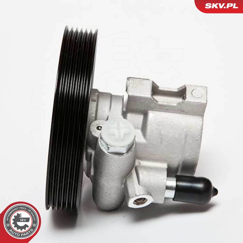 ESEN SKV 10SKV069 Hydraulic Pump, steering