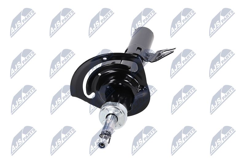 Amort, NTY A-CH-084