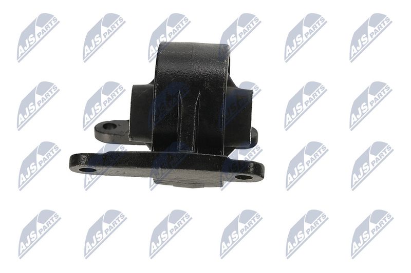 Paigutus, Mootor, NTY ZPS-CH-043