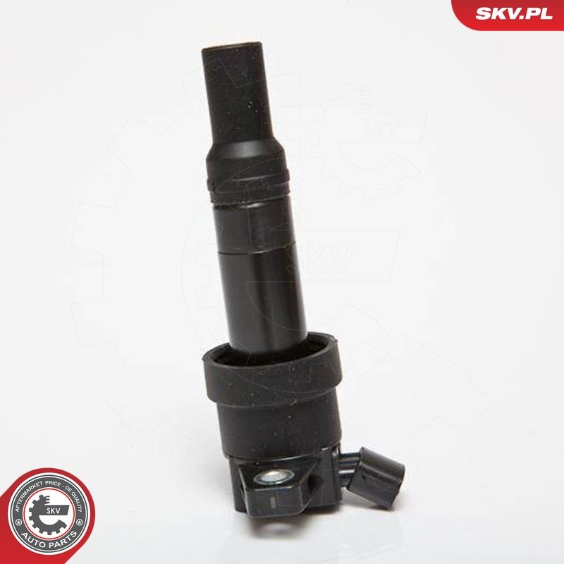 Süütepool, ESEN SKV 03SKV201