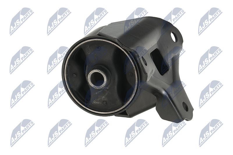 Paigutus, Mootor, NTY ZPS-KA-313