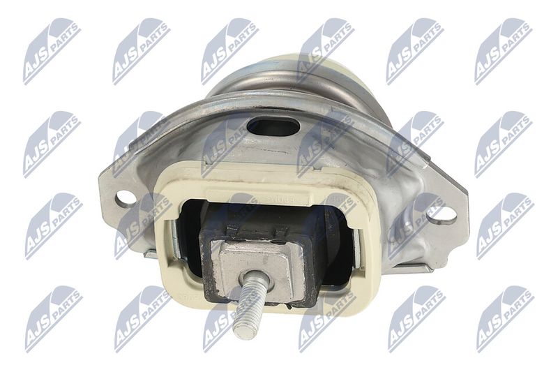 Paigutus, Mootor, NTY ZPS-LR-020