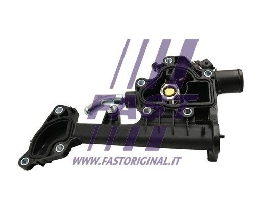 FT58036_3_1.JPG