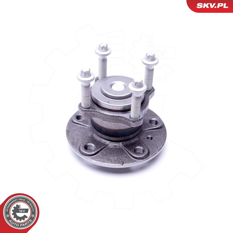 Rattalaagrikomplekt, ESEN...