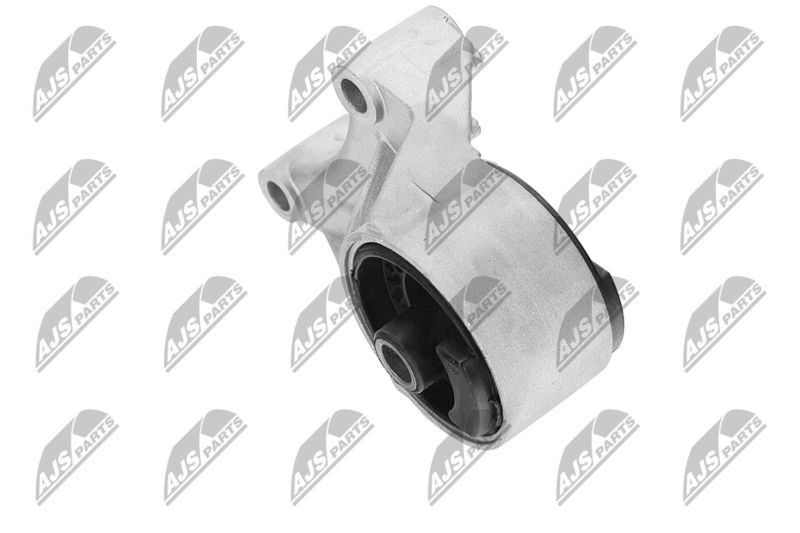 Paigutus, Mootor, NTY ZPS-PL-069