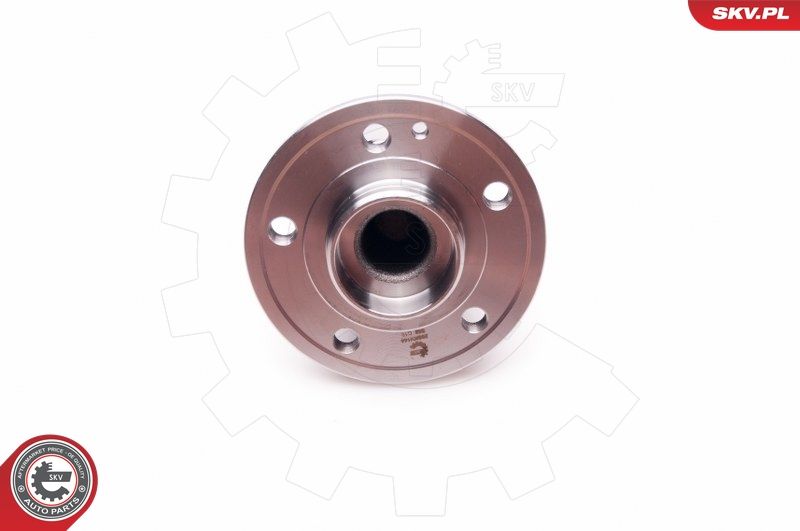 ESEN SKV 29SKV144 Wheel Bearing Kit