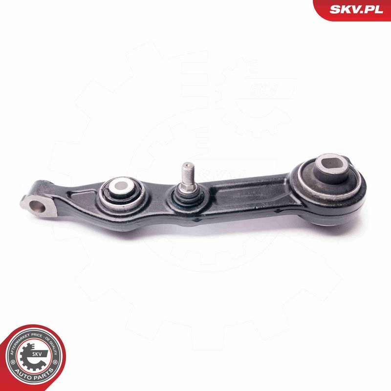 ESEN SKV 04SKV300 Repair Kit, control arm