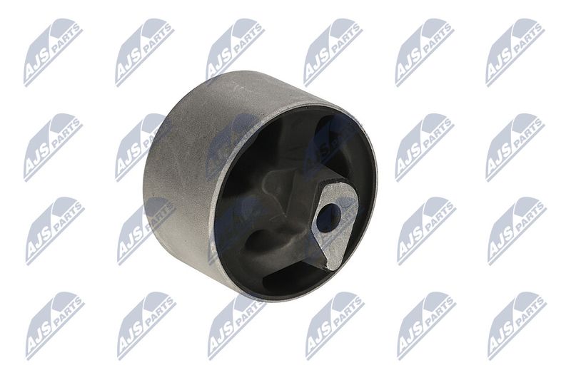 Paigutus, Mootor, NTY ZPS-CH-040