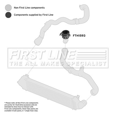 FTH1593_4118565.JPG