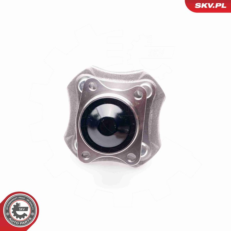 ESEN SKV 29SKV063 Wheel Bearing Kit