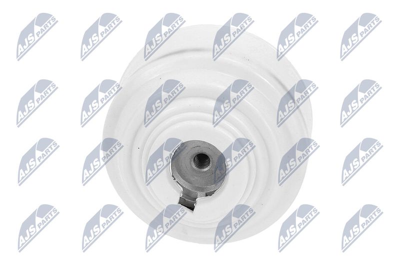 Paigutus, Mootor, NTY ZPS-ME-099