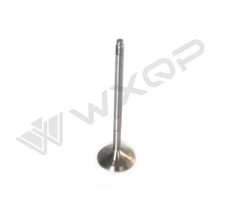 WXQP 211175 Port Valve