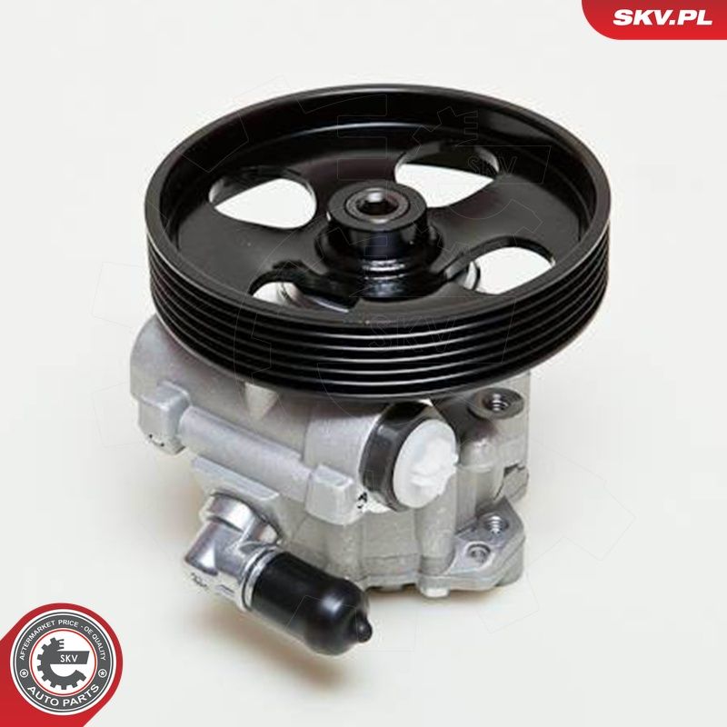 Hüdraulikapump, roolimine, ESEN SKV 10SKV009