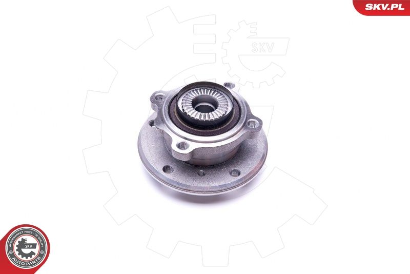 ESEN SKV 29SKV286 Wheel Bearing Kit