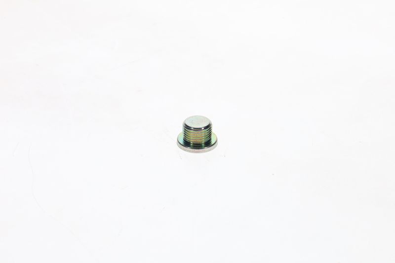 Surub F 002 D13 566 BOSCH